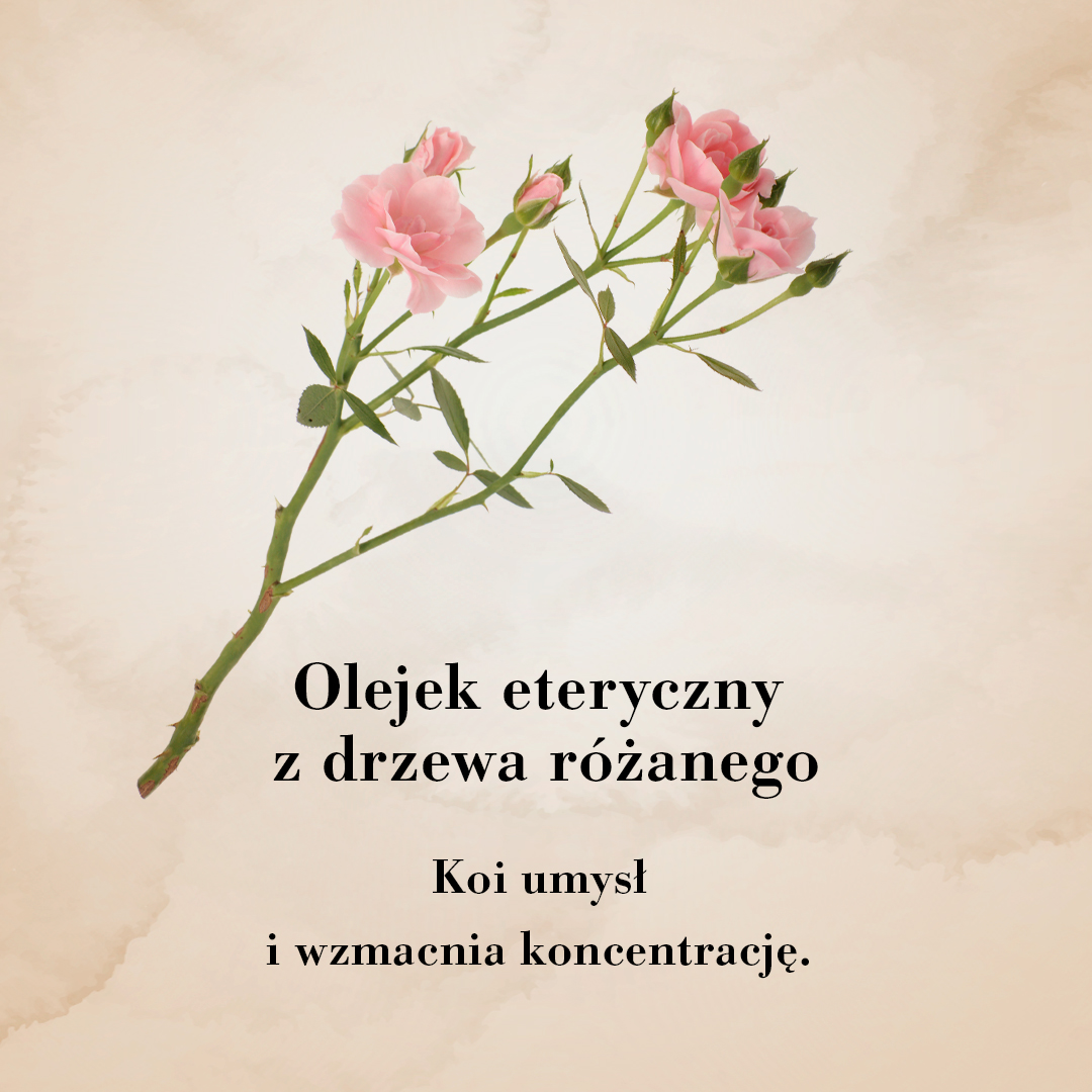 Olejek eteryczny z geranium